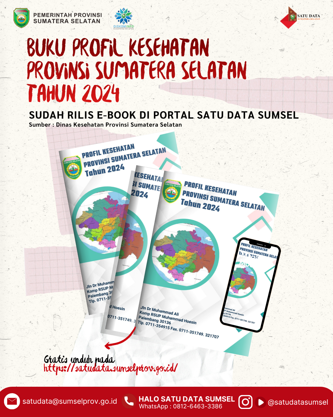 Profil Kesehatan Provinsi Sumatera Selatan 2024
