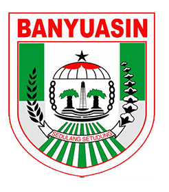 Logo Banyuasin
